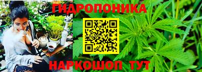соль ск Ипатово