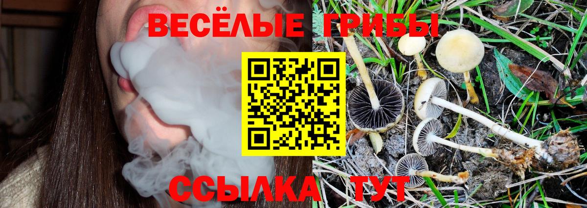 Псилоцибиновые грибы MAGIC MUSHROOMS  Вход с VPN  Майский  Псилоцибиновые грибы прущие грибы 