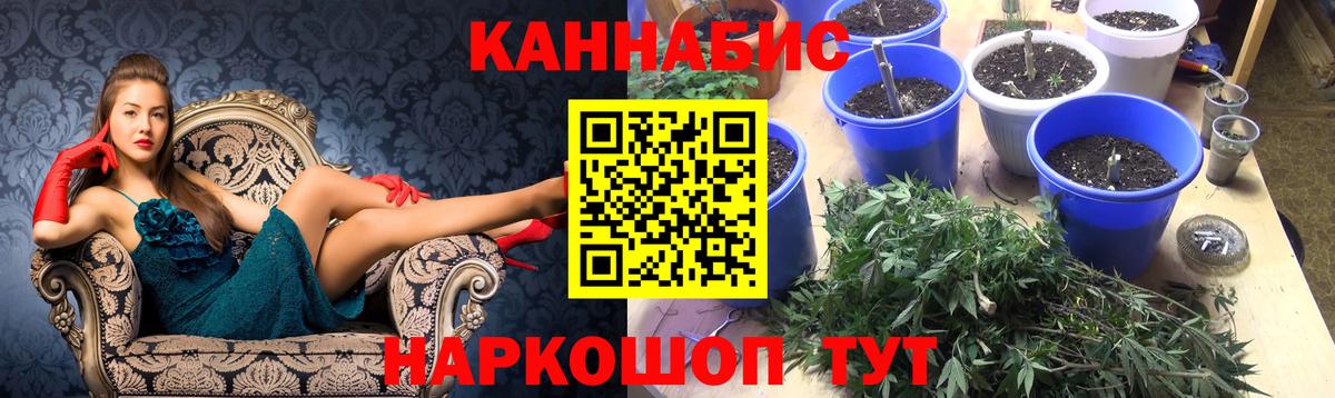 Канабис ГИДРОПОН  Вход с VPN  Марихуана тримм  Майский  МАРИХУАНА конопля 